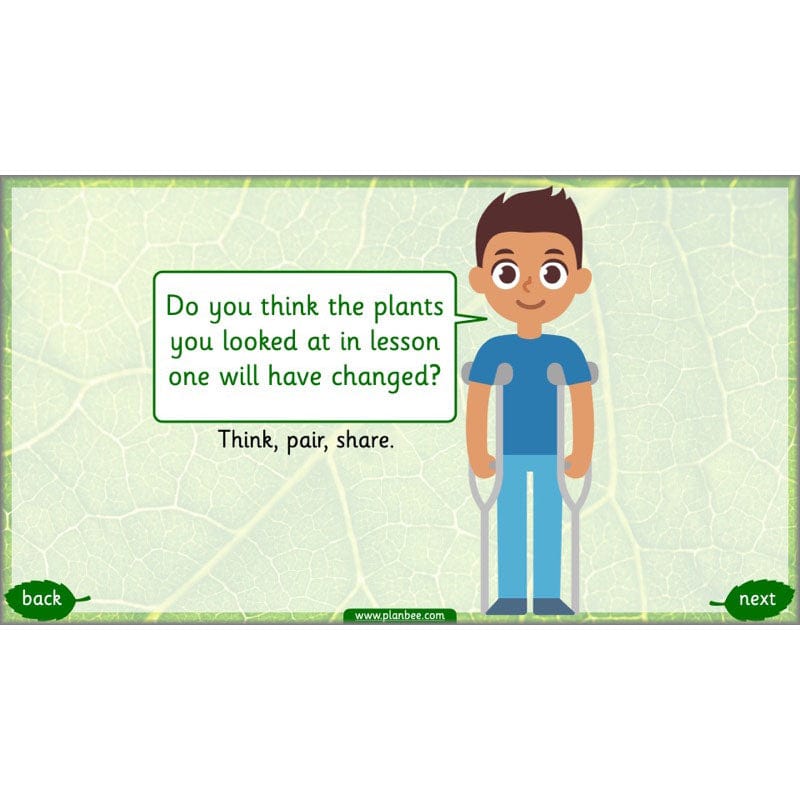PlanBee Identifying Plants Year 1 | KS1 Plants Lessons | PlanBee