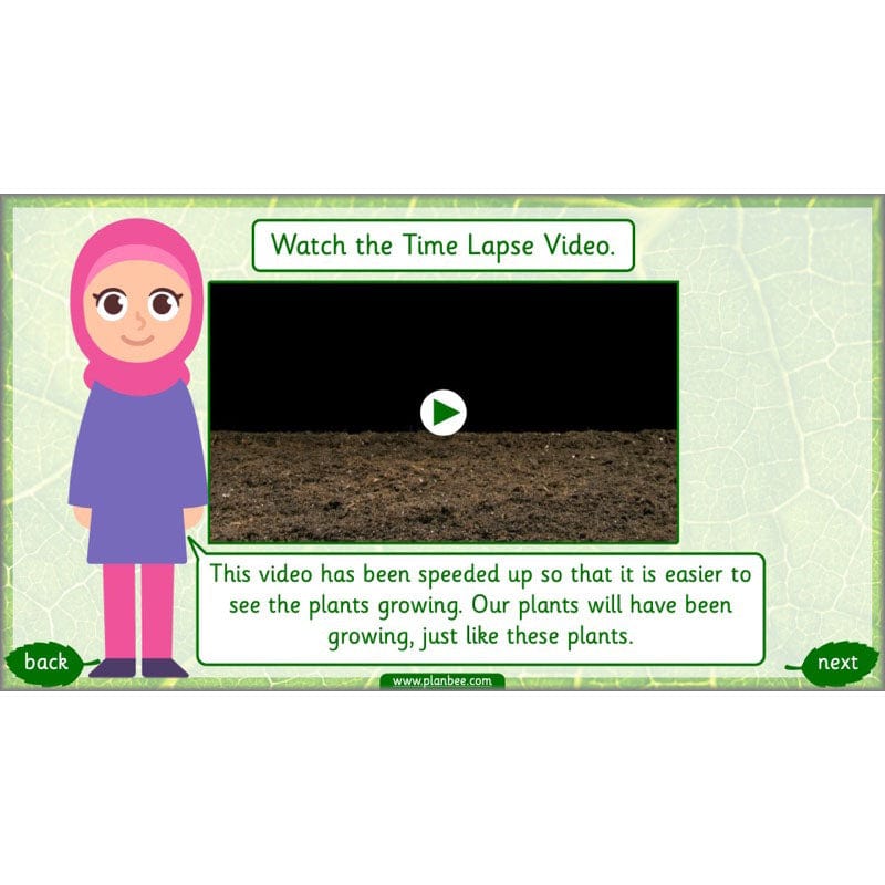 PlanBee Identifying Plants Year 1 | KS1 Plants Lessons | PlanBee