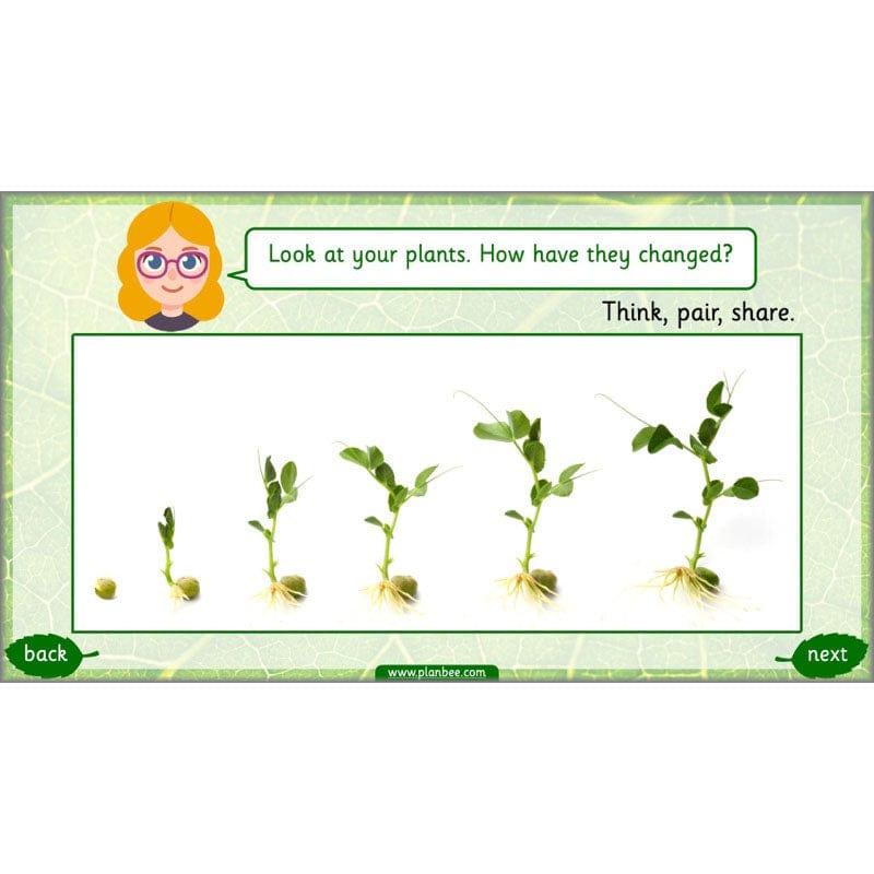 PlanBee Identifying Plants Year 1 | KS1 Plants Lessons | PlanBee