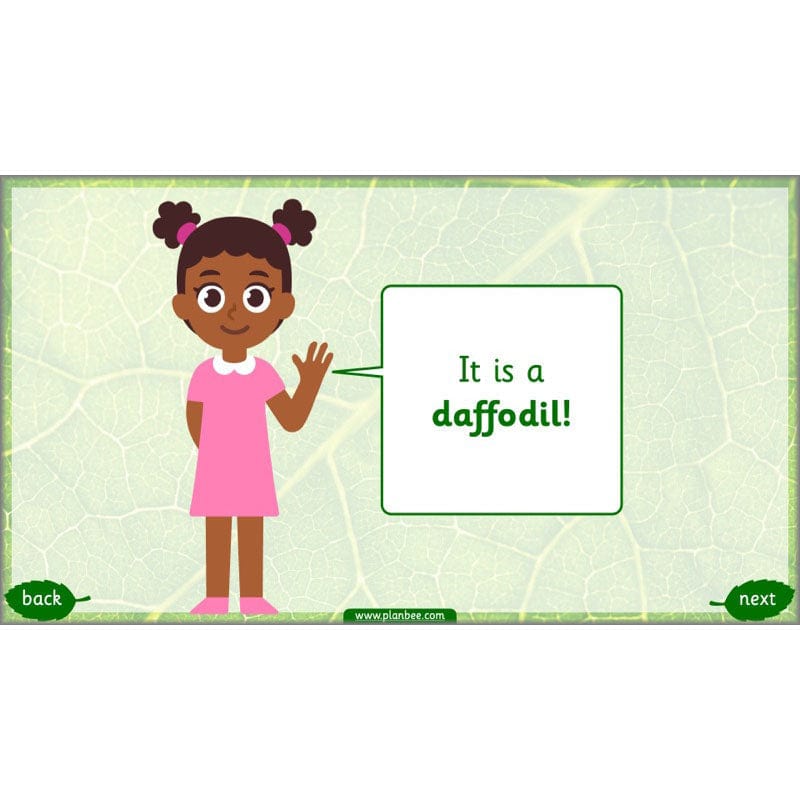 PlanBee Identifying Plants Year 1 | KS1 Plants Lessons | PlanBee