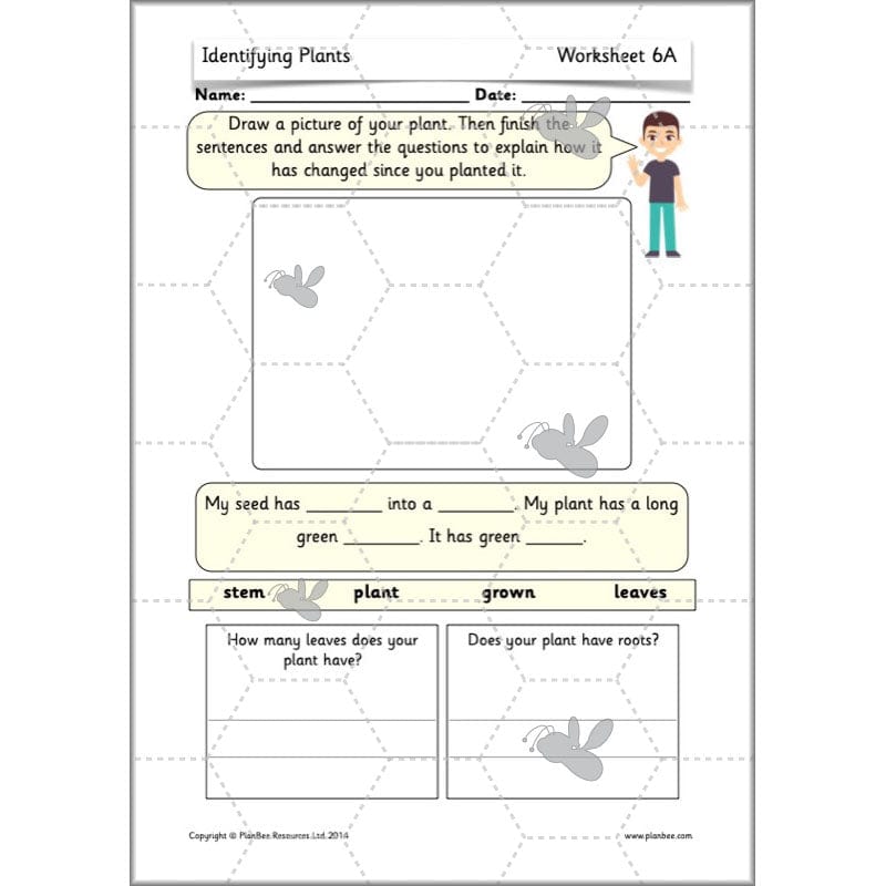 PlanBee Identifying Plants Year 1 | KS1 Plants Lessons | PlanBee