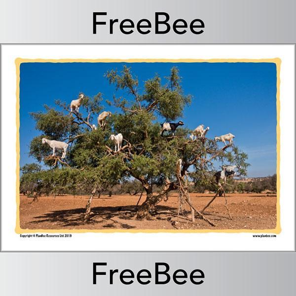 Free Creative Writing Prompt Pictures by PlanBee