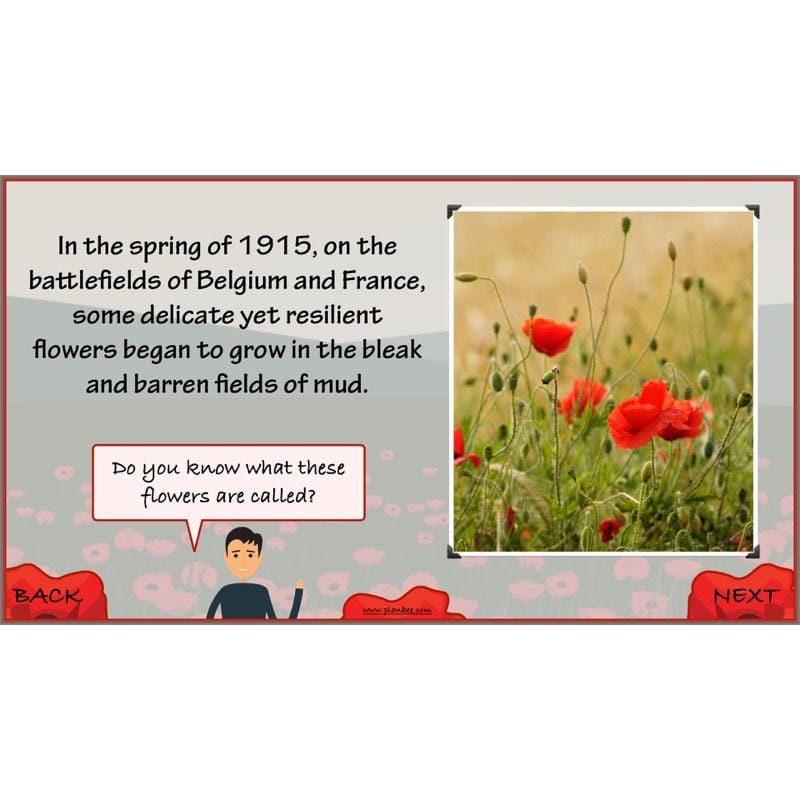 PlanBee WW1 Art Ideas KS2 In Flanders Fields Art Lessons by PlanBee