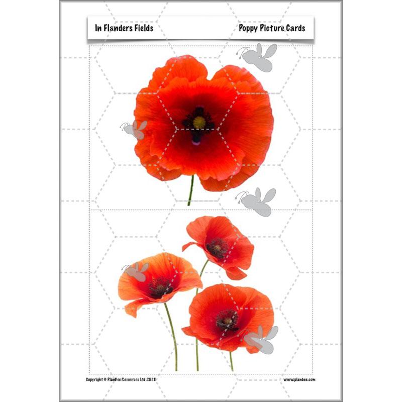 PlanBee WW1 Art Ideas KS2 In Flanders Fields Art Lessons by PlanBee