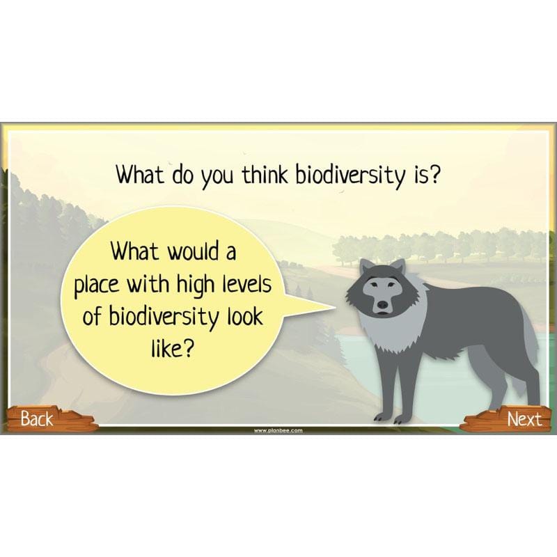 PlanBee Ecosystems for Kids | Just One Change ESR Lessons | PlanBee