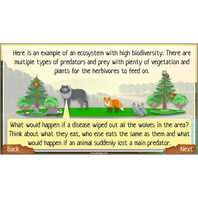 PlanBee Ecosystems for Kids | Just One Change ESR Lessons | PlanBee