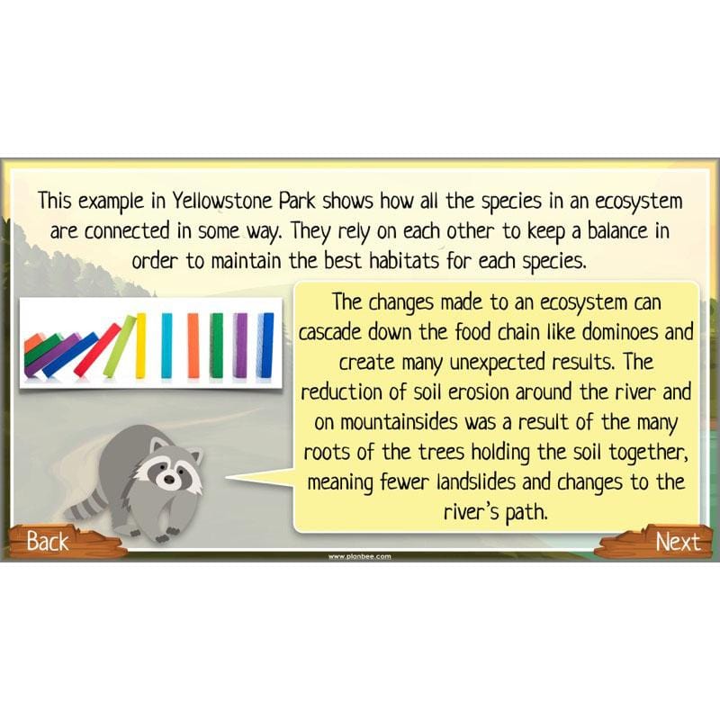 PlanBee Ecosystems for Kids | Just One Change ESR Lessons | PlanBee