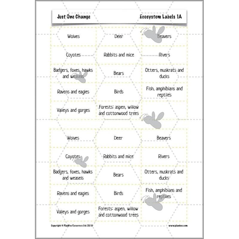 PlanBee Ecosystems for Kids | Just One Change ESR Lessons | PlanBee