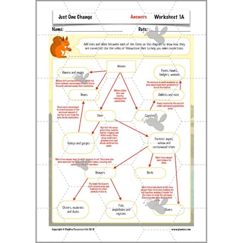 PlanBee Ecosystems for Kids | Just One Change ESR Lessons | PlanBee