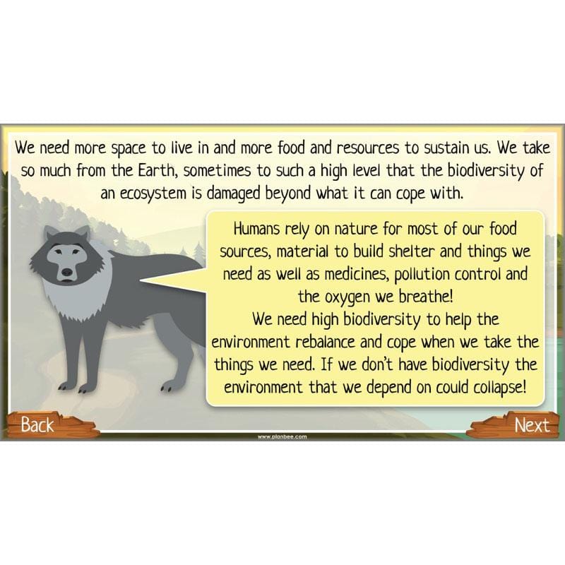 PlanBee Ecosystems for Kids | Just One Change ESR Lessons | PlanBee