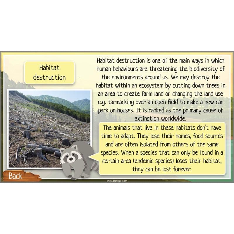 PlanBee Ecosystems for Kids | Just One Change ESR Lessons | PlanBee