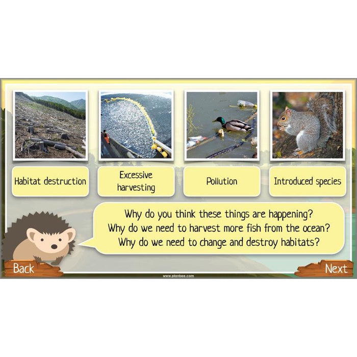 PlanBee Ecosystems for Kids | Just One Change ESR Lessons | PlanBee