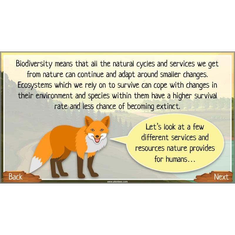 PlanBee Ecosystems for Kids | Just One Change ESR Lessons | PlanBee