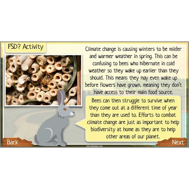 PlanBee Ecosystems for Kids | Just One Change ESR Lessons | PlanBee