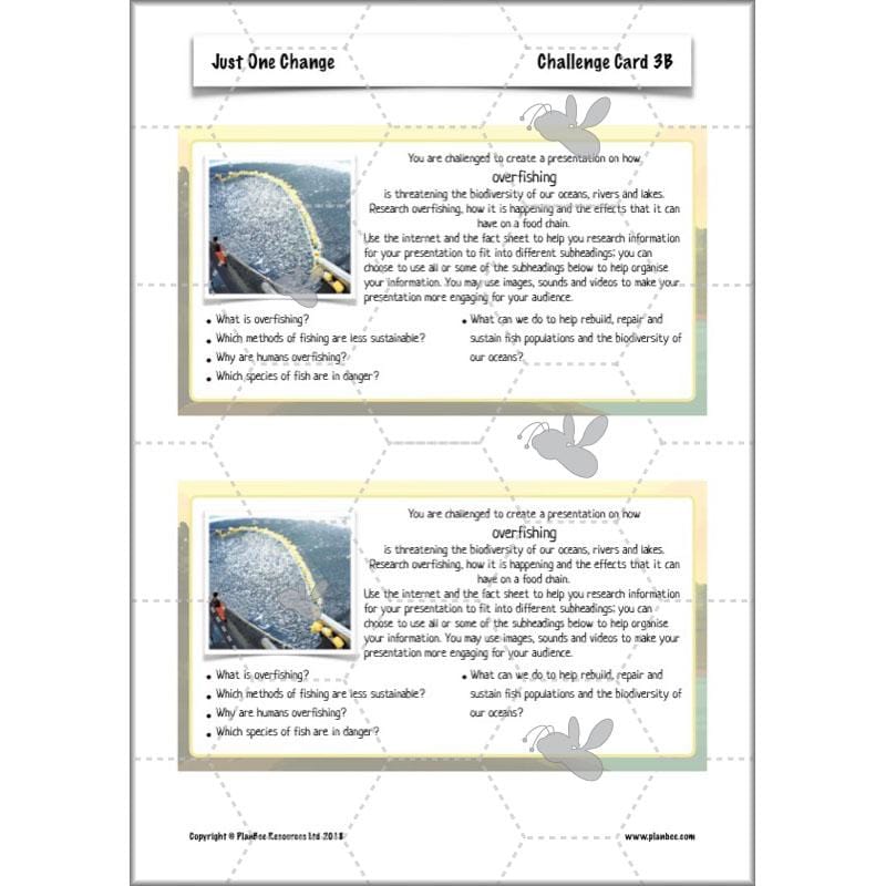 PlanBee Ecosystems for Kids | Just One Change ESR Lessons | PlanBee