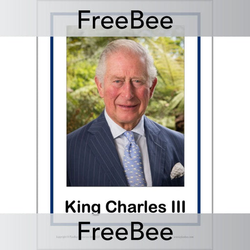 PlanBee FREE King Charles Coronation Collaborative Portrait | PlanBee