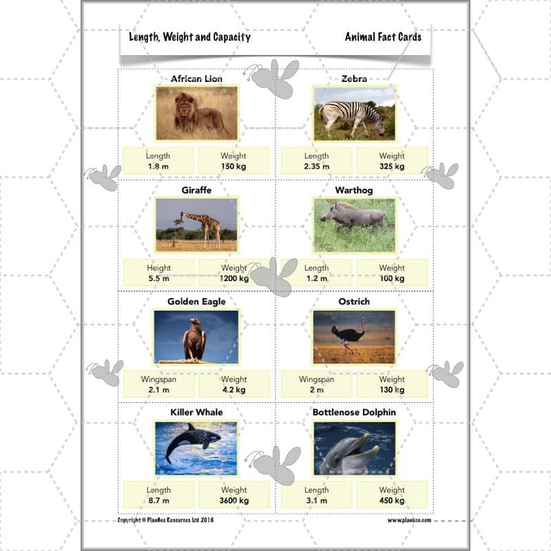 PlanBee Length, Weight & Capacity - Year 5 Maths Planning - Measurement