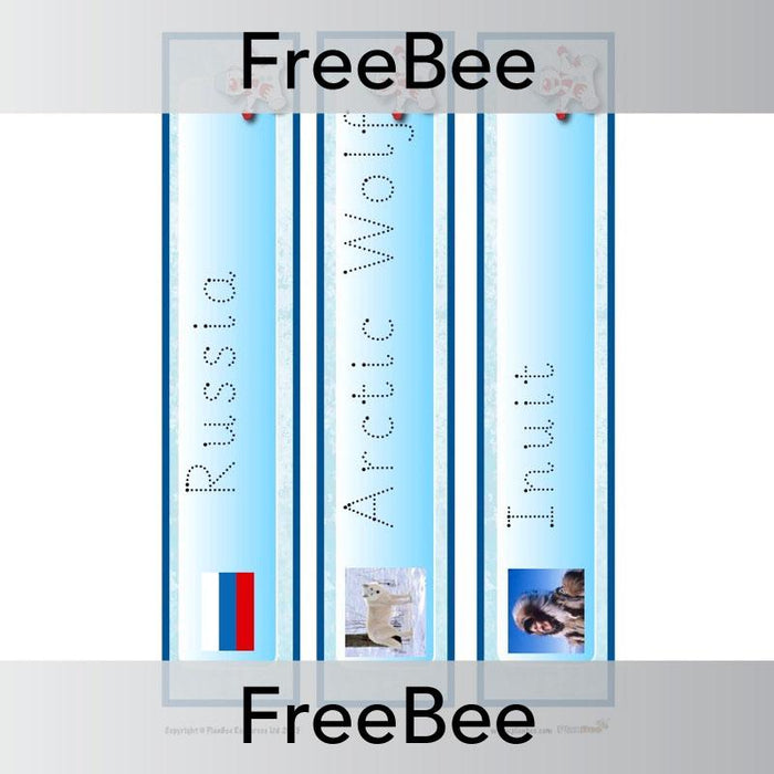 PlanBee Free Arctic Vocabulary Cards by PlanBee