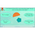 PlanBee Properties of Shapes Year 2 Maths Lessons by PlanBee