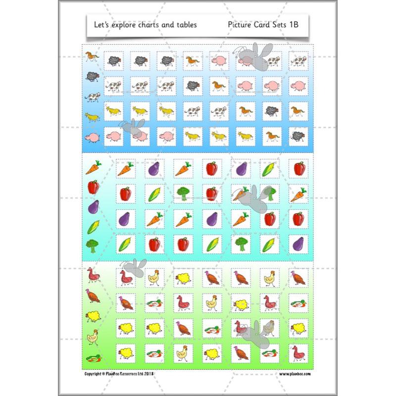 PlanBee Let's Explore Charts and Tables Year 2 Maths | PlanBee