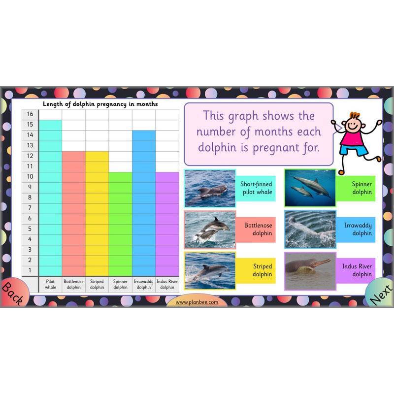 PlanBee Let's Explore Charts and Tables Year 2 Maths | PlanBee