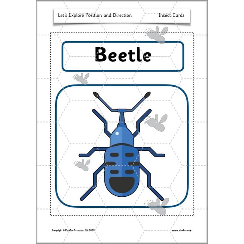 PlanBee Explore Position and Direction Year 2 Maths | PlanBee