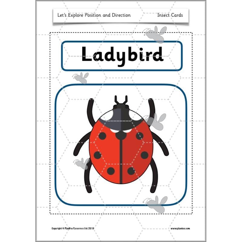 PlanBee Explore Position and Direction Year 2 Maths | PlanBee