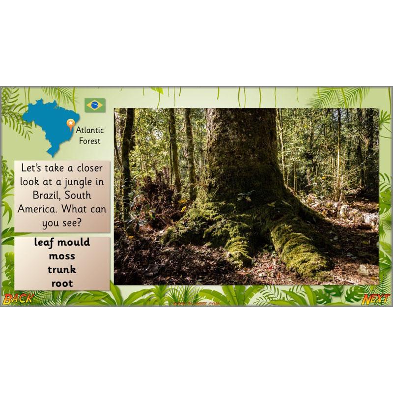 PlanBee Let's go to the Jungle Geography lessons for KS1