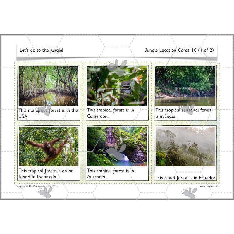 PlanBee Let's go to the Jungle Geography lessons for KS1