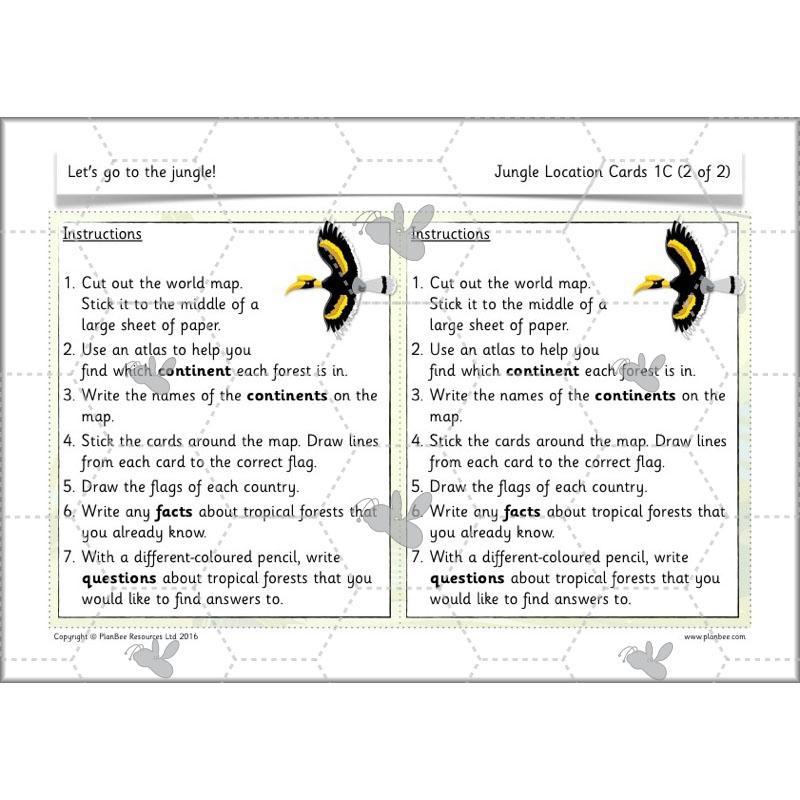PlanBee Let's go to the Jungle Geography lessons for KS1
