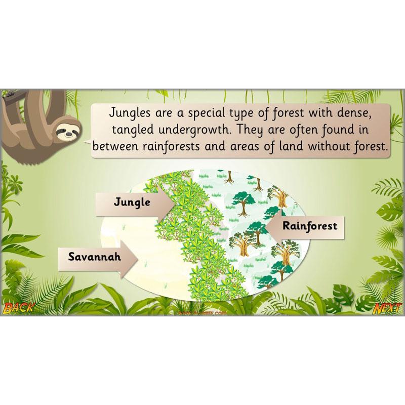 PlanBee Let's go to the Jungle Geography lessons for KS1