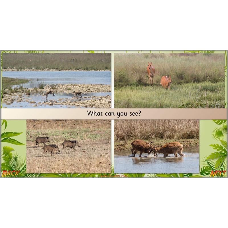 PlanBee Let's go to the Jungle Geography lessons for KS1