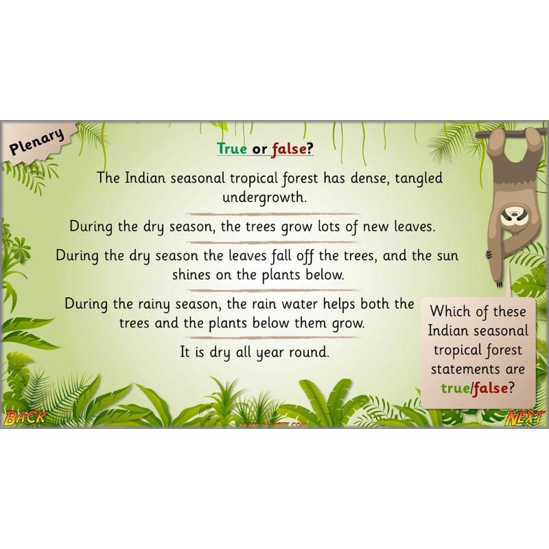 PlanBee Let's go to the Jungle Geography lessons for KS1