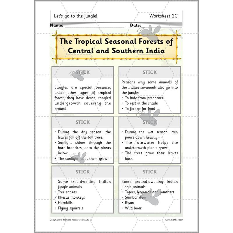 PlanBee Let's go to the Jungle Geography lessons for KS1