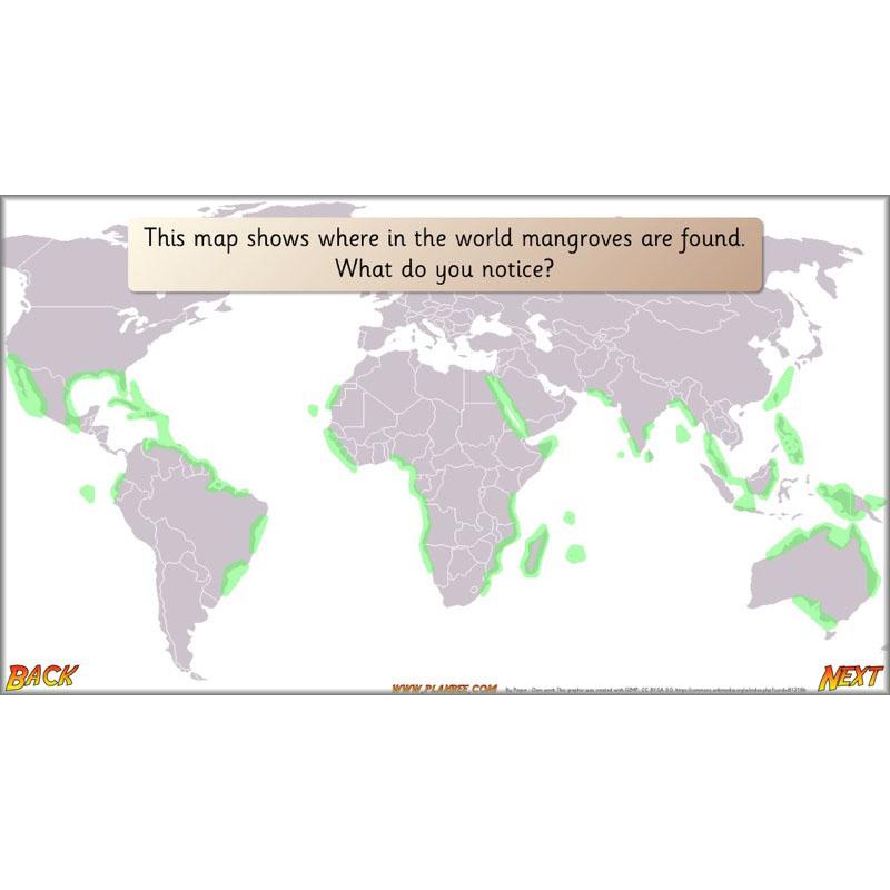 PlanBee Let's go to the Jungle Geography lessons for KS1