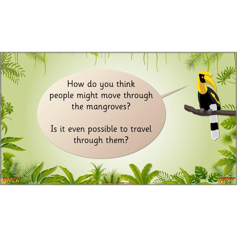 PlanBee Let's go to the Jungle Geography lessons for KS1