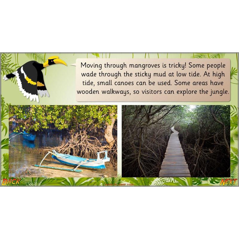 PlanBee Let's go to the Jungle Geography lessons for KS1
