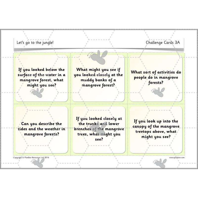PlanBee Let's go to the Jungle Geography lessons for KS1