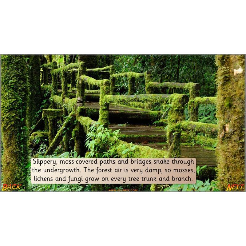 PlanBee Let's go to the Jungle Geography lessons for KS1