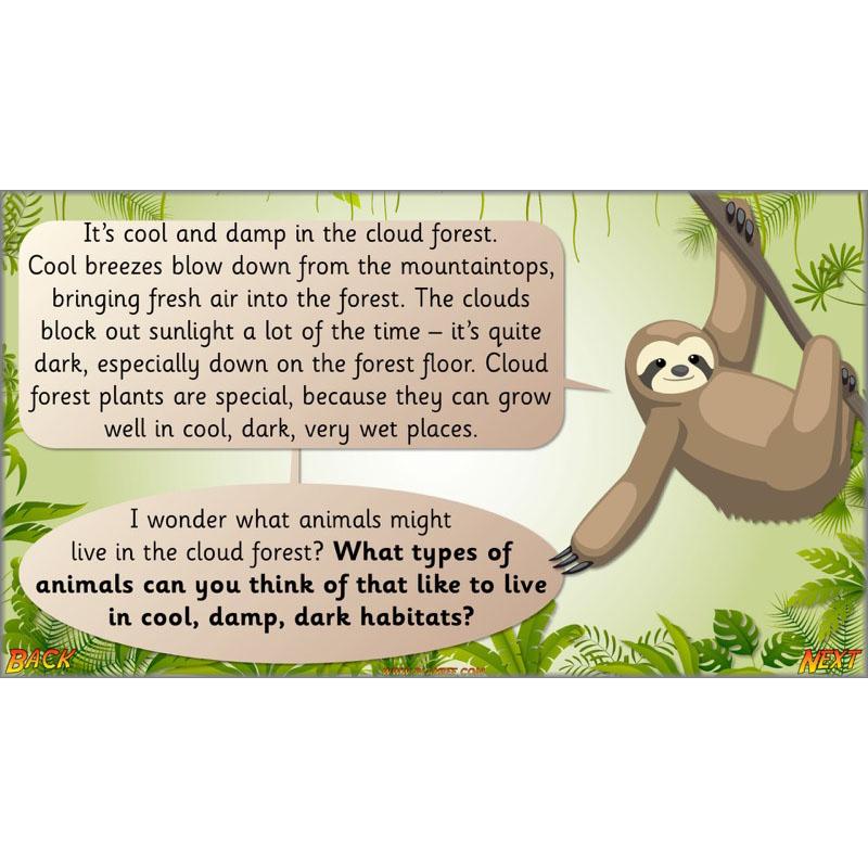 PlanBee Let's go to the Jungle Geography lessons for KS1