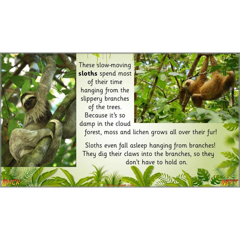 PlanBee Let's go to the Jungle Geography lessons for KS1