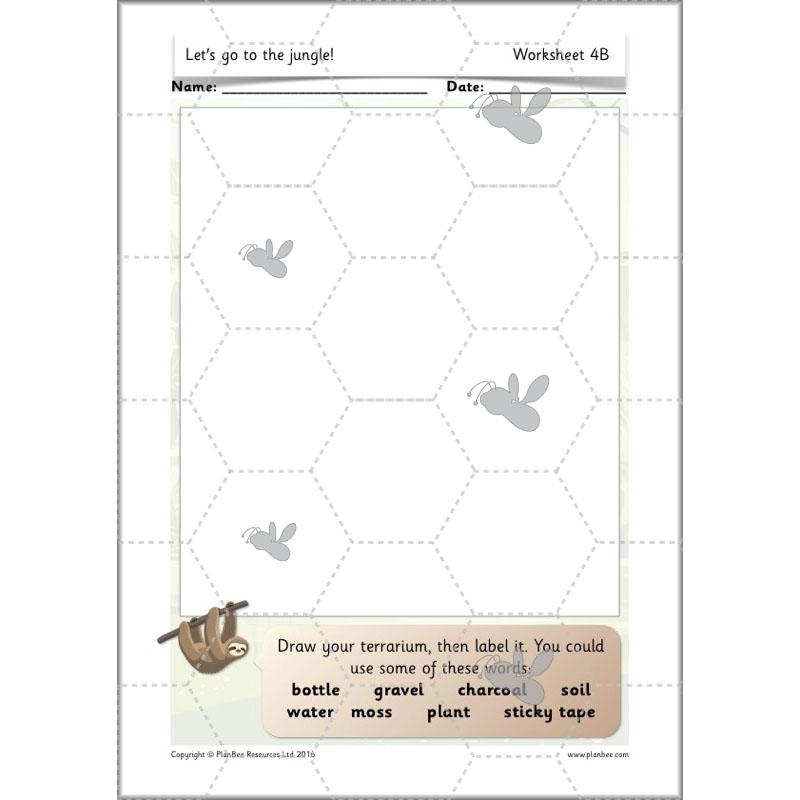 PlanBee Let's go to the Jungle Geography lessons for KS1