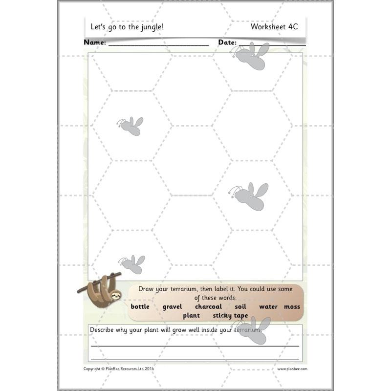 PlanBee Let's go to the Jungle Geography lessons for KS1