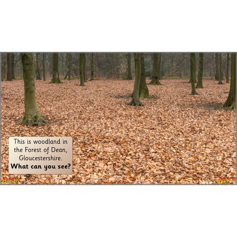 PlanBee Let's go to the Jungle Geography lessons for KS1