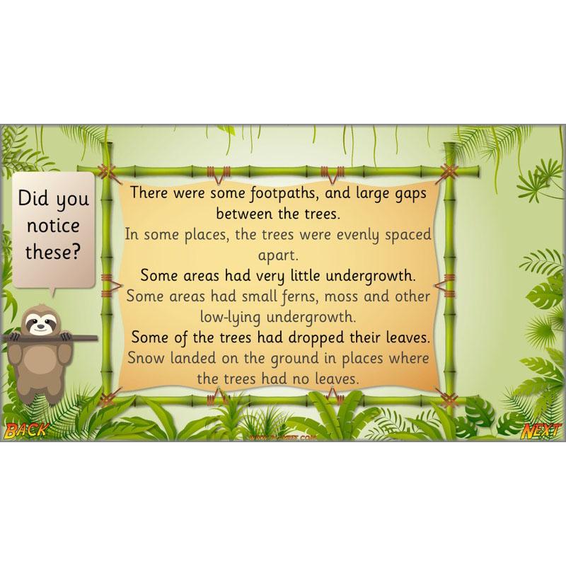 PlanBee Let's go to the Jungle Geography lessons for KS1