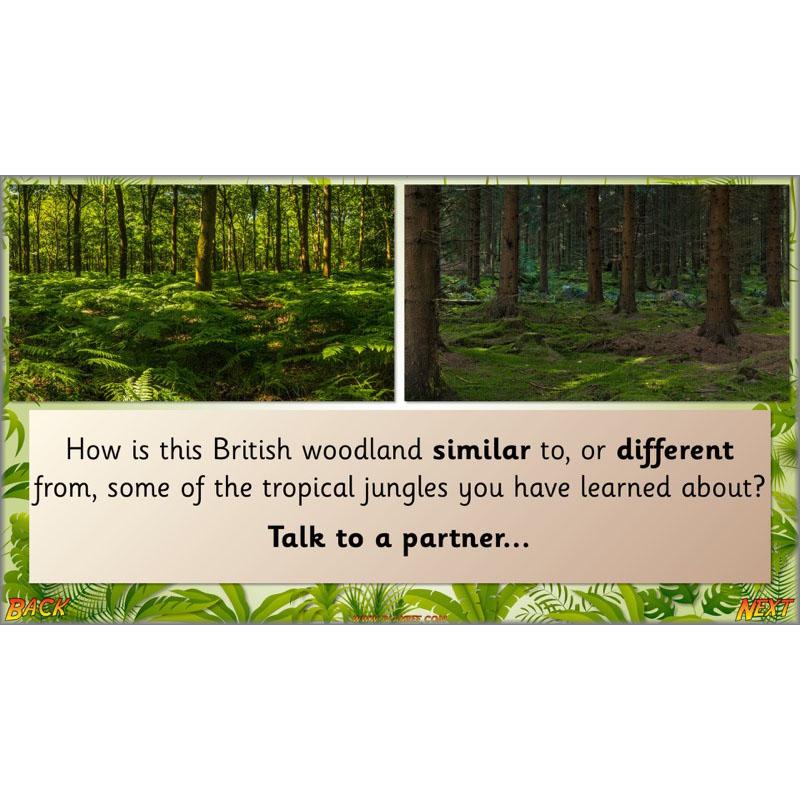 PlanBee Let's go to the Jungle Geography lessons for KS1