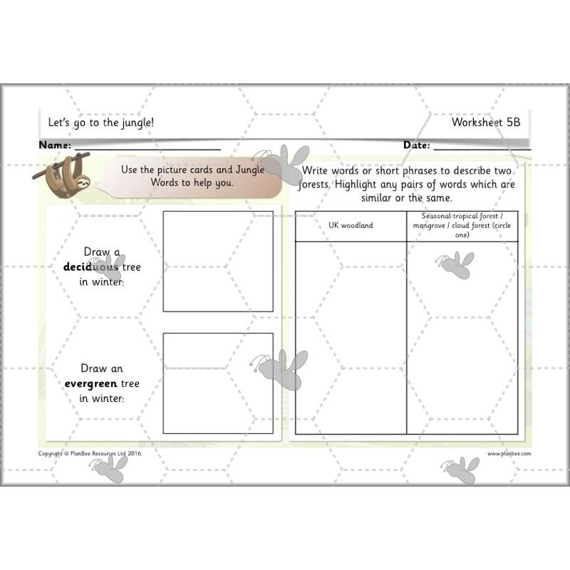 PlanBee Let's go to the Jungle Geography lessons for KS1