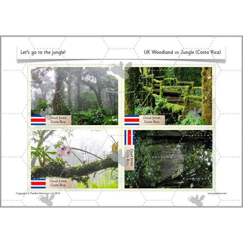 PlanBee Let's go to the Jungle Geography lessons for KS1