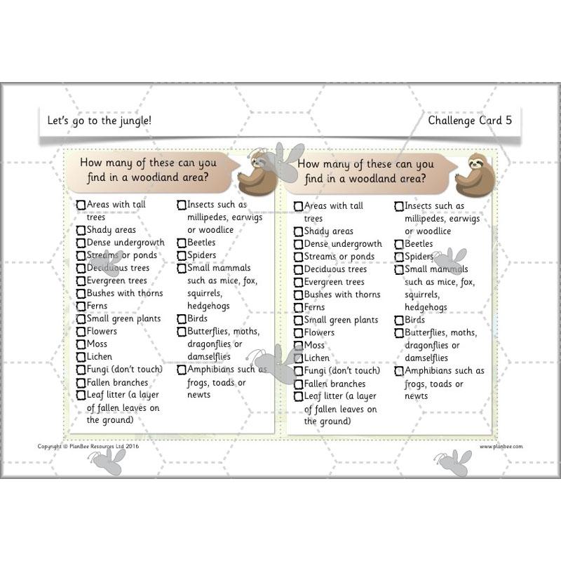 PlanBee Let's go to the Jungle Geography lessons for KS1