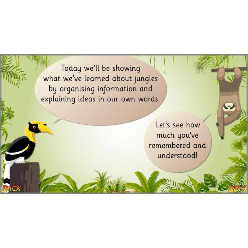 PlanBee Let's go to the Jungle Geography lessons for KS1